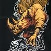 drhino46